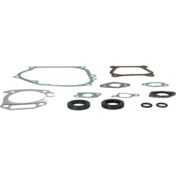 Variklio tarpinių komplektas 594272