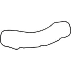 Vožtuvo dangtelio tarpinė 820150