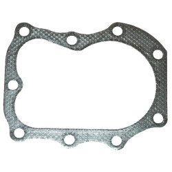 Cilindro galvutės tarpinė (4121) 272163S