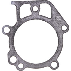 Cilindro galvutės tarpinė 697690