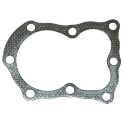 Cilindro galvutės tarpinė (4120) 272157S