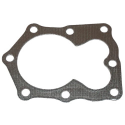 Cilindro galvutės tarpinė 692249