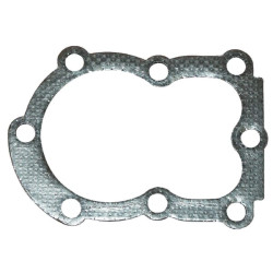 Cilindro galvutės tarpinė 272167