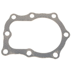 Cilindro galvutės tarpinė 272171