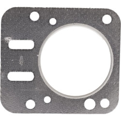 Cilindro galvutės tarpinė 798461