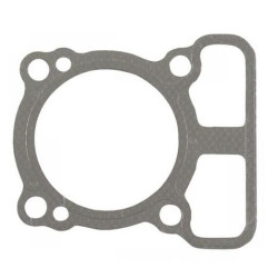 Cilindro galvutės tarpinė 793455