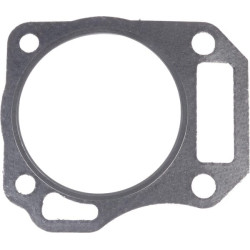 Cilindro galvutės tarpinė 591445