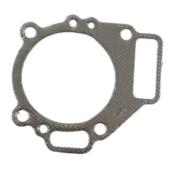 Cilindro galvutės tarpinė 272126