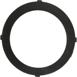 Įleidimo tarpinė 197764GS