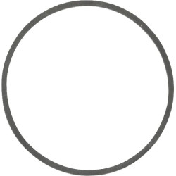 Plūdės dubens tarpinės 698538