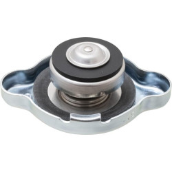 Radiatoriaus dangtelis 820258