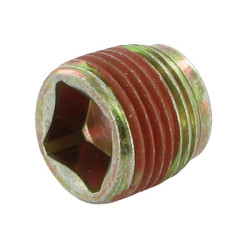 Karterio kamštis 691680