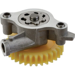 Alyvos siurblys 843959