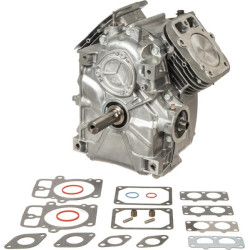 Trumpas blokas, modelis 44Q7 B&S 797093A