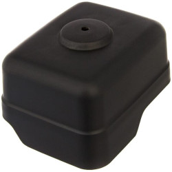 Oro filtro dangtelis 17231Z4H821