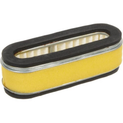 Oro filtras Honda 17210896305