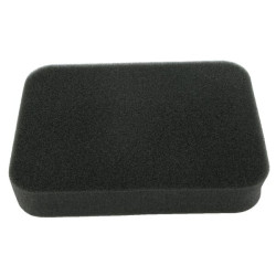 Oro filtras Honda 17211899000