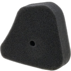 Oro filtro elementas 17211ZG1750