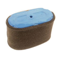 Oro filtras Honda 17211ZF5V01