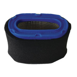 Oro filtras Honda 17211ZF5V01