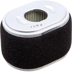 Oro filtro elementas (dvigubas filtras) 17210Z1T621