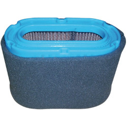 Ovalus oro filtras FGP456576