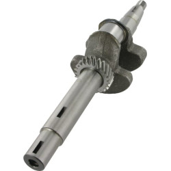 Alkūninis velenas 13310ZE7010