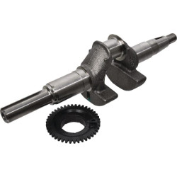 Alkūninio veleno komplektas 06131Z8AW00