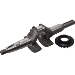 Alkūninio veleno komplektas 06131Z8AW00