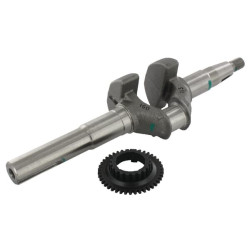 Alkūninio veleno komplektas, N4 06131Z8BW40