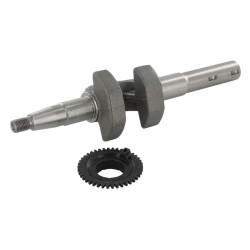 Alkūninio veleno komplektas, N4 06131Z8BW40