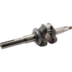 Alkūninio veleno komplektas 06131Z8DW20