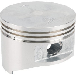 Stūmoklis 13101ZJ1840