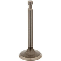 Įsiurbimo vožtuvas 14711Z4M000