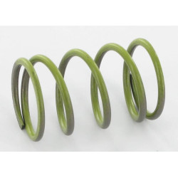 Vožtuvo spyruoklė 14751ZF1000