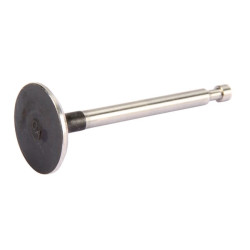 Išmetimo vožtuvas 14721Z0A000