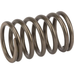 Vožtuvo spyruoklė 14751Z1C000