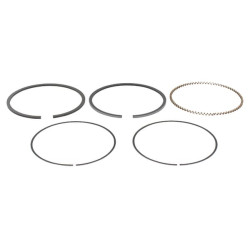 Stūmoklio žiedų komplektas 13010ZF6005