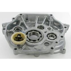 Karterio dangtis 11300ZE3614