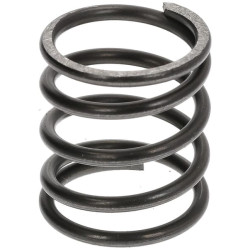 Stabdžių laikiklio spyruoklė 75132VA4000