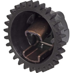 Gubernatoriaus asamblėja 16506ZL0000