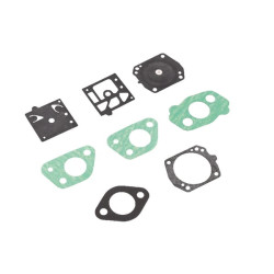 Karbiuratoriaus remonto komplektas GX100REP3