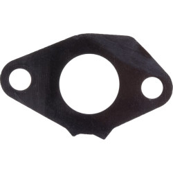 Karbiuratoriaus izoliatorius 16211887000