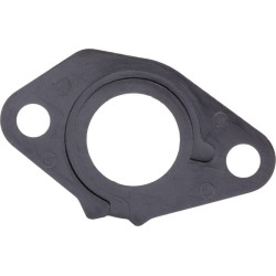 Karbiuratoriaus izoliatorius 16211887000