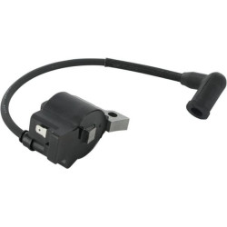 Uždegimo ritė, Honda 30500ZM3003