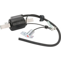 Uždegimo ritė, Honda 30560883015