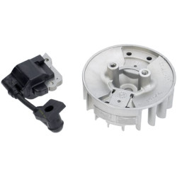 Uždegimo ritė ir smagratis, Honda 06301Z3E000