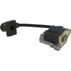 Uždegimo ritė, Honda 30500Z3F013