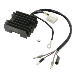 Įtampos reguliatorius GCV530 31750Z0A801