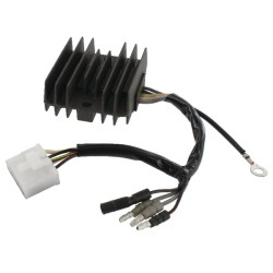 Įtampos reguliatorius GCV530 31750Z0A861